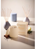 Bougie Parfumée Feuille de Cèdre de l’Himalaya – Patchouli, Cèdre & Citron