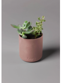 Bougie Parfumée Rose du Maroc – Rose, Tonka & Musc – Aery Living