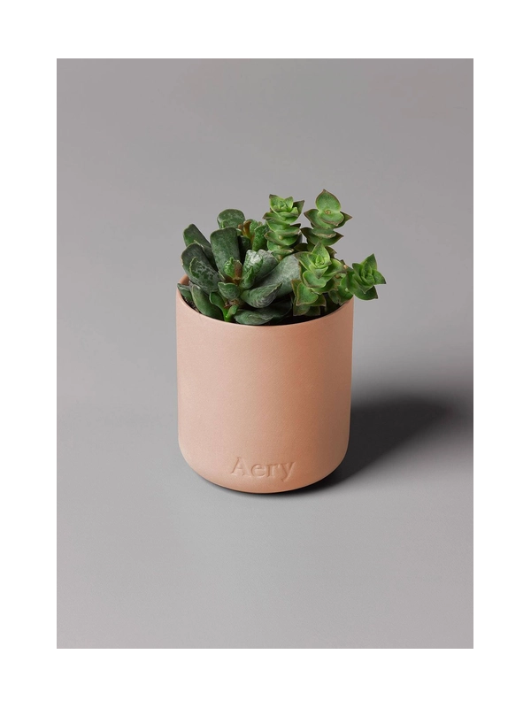Bougie Parfumée Tubéreuse Aztèque – Pêche, Lait d’Amande & Tubéreuse – Aery Living Bougie Parfumée Tubéreuse Aztèque – Pêche, Lait d’Amande & Tubéreuse – Aery Living