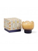 Bougie Tulipe Orange and Blue - Paddywax